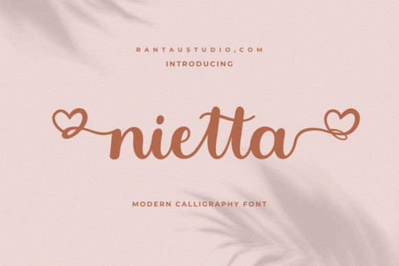 Nietta: A Delicate Script Handwritten Font for Makers