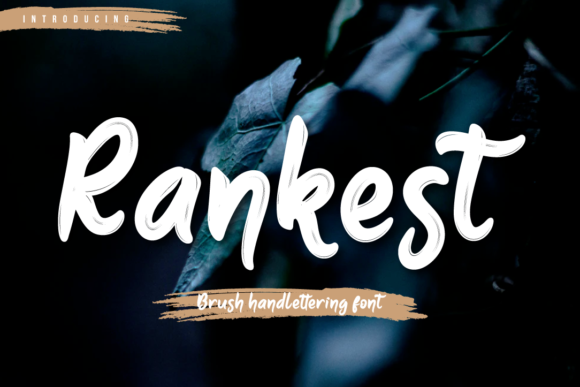 Rankest: The Brush Handwritten Font for Bold Campaigns